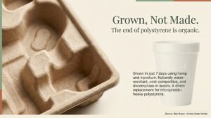 Magical Mushroom Company makes custom packaging from myocelium and hemp waste eliminating polystyrene