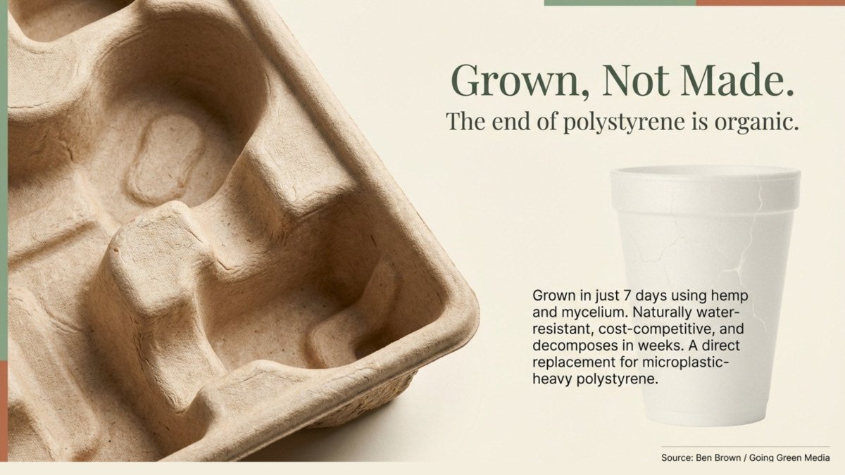 Magical Mushroom Company makes custom packaging from myocelium and hemp waste eliminating polystyrene